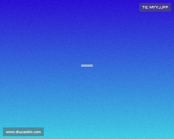 荷乙赛程比分结果